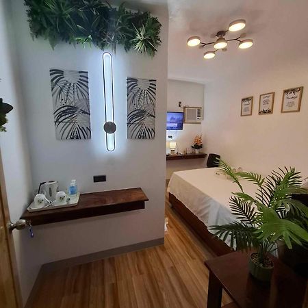 Dreamstay Hostel 몰볼 외부 사진